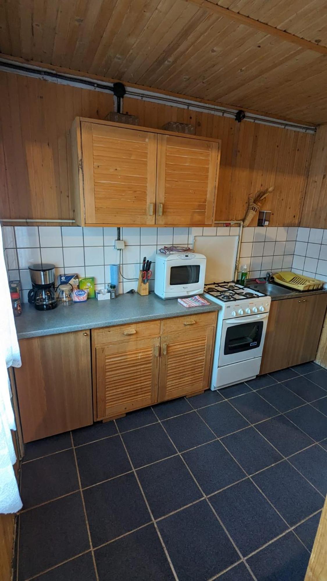 Villa Alvik Geoagiu Băi Екстериор снимка