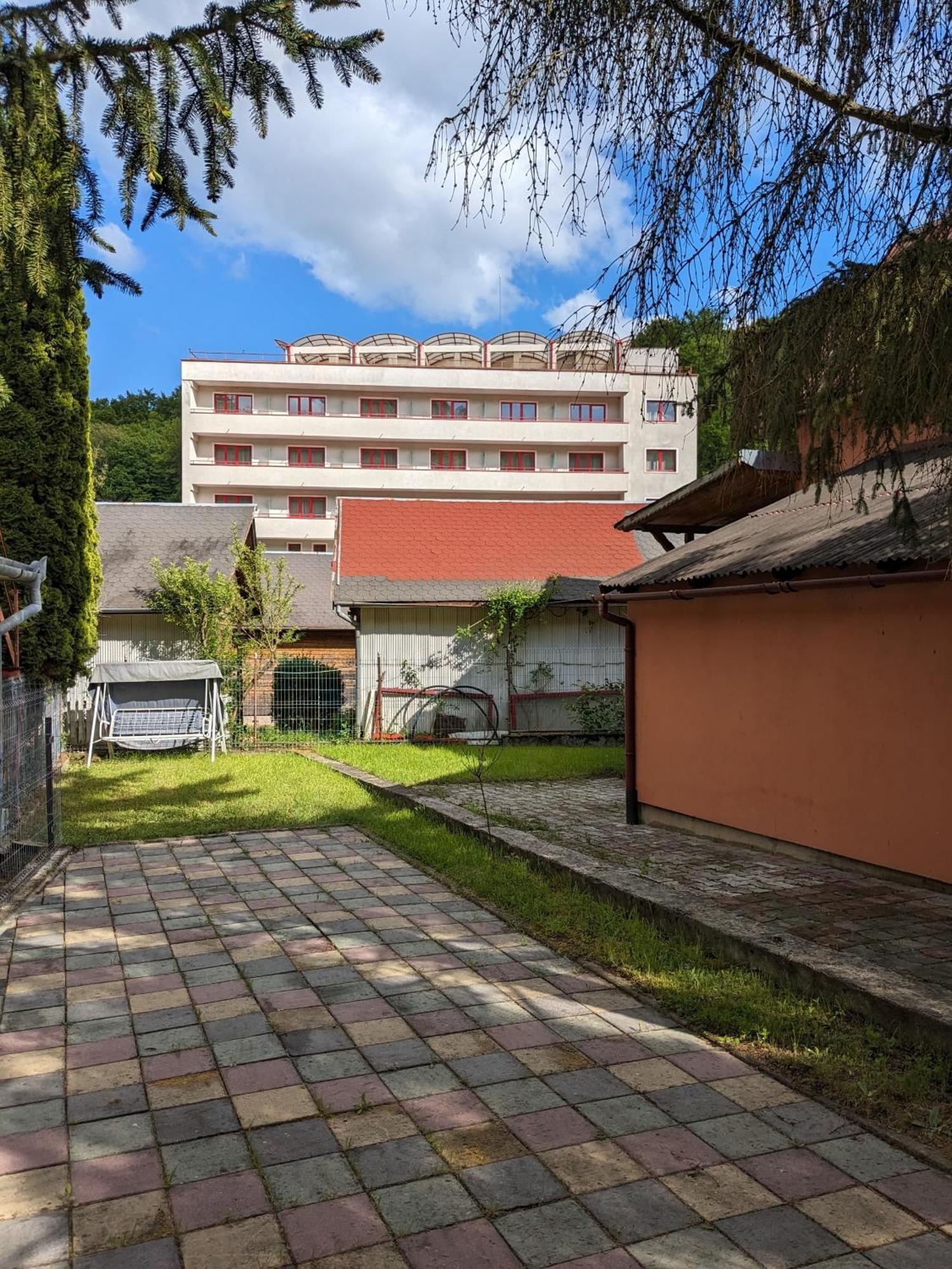 Villa Alvik Geoagiu Băi Екстериор снимка