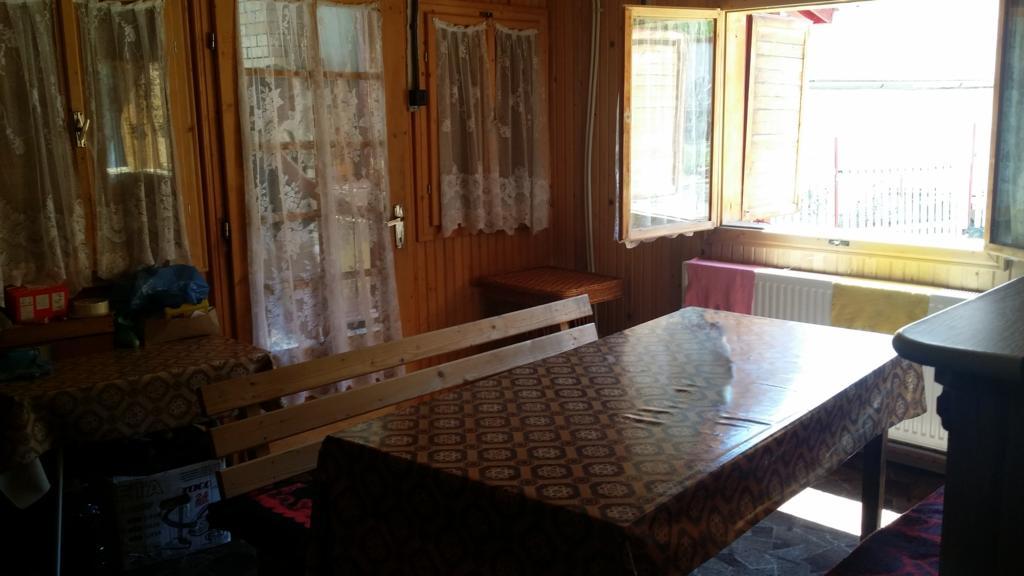 Villa Alvik Geoagiu Băi Екстериор снимка
