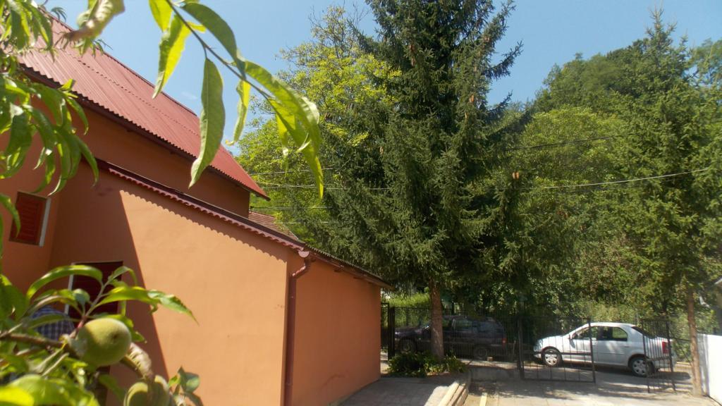 Villa Alvik Geoagiu Băi Екстериор снимка